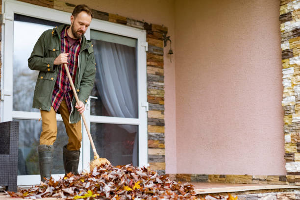 Yard Cleanup Services in Lennox, CA